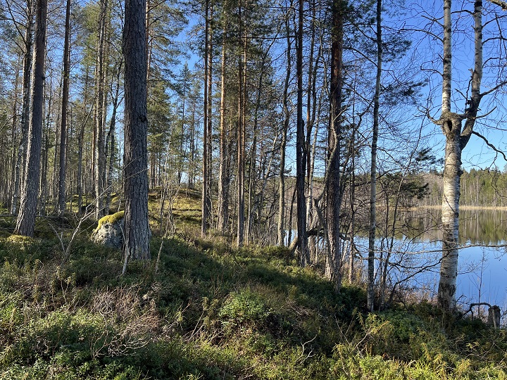 Maisemakuva