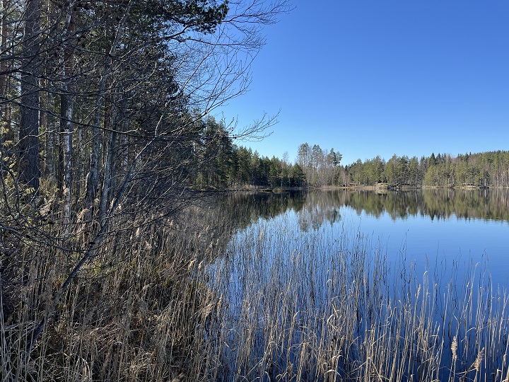 Maisemakuva