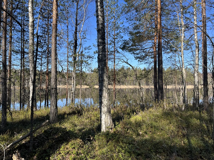 Maisemakuva