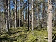 valokuva