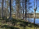 valokuva