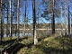 valokuva